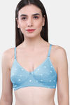 Maroon Clothing Single Layered Non Wired Full Coverage T-Shirt Bra (Pack of 3) - Multicolor — thumbnail 10